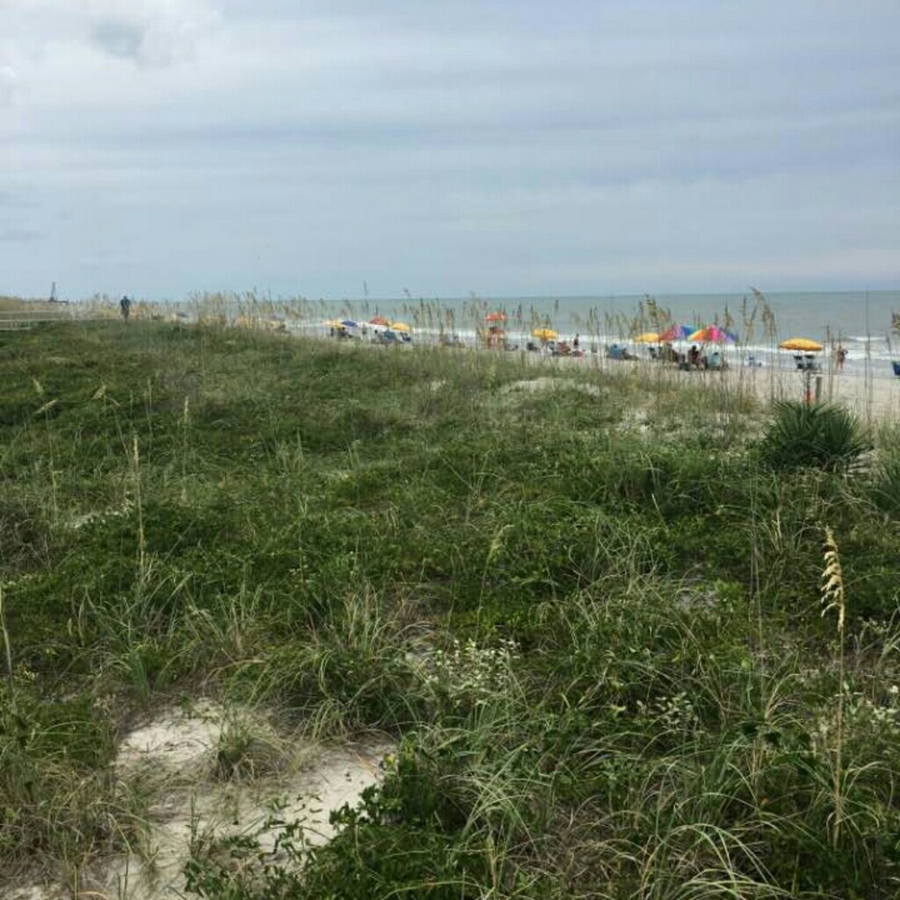 Meet your Posher, Brandy